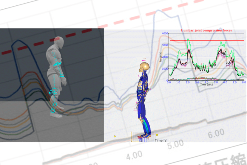 Plask to AnyBody: Motion Analysis